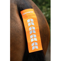 Shires Equi-Flector® staartriem Feloranje