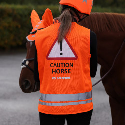Veiligheidsvest paardrijden Shires Equi-Flector® – Equi-Clic