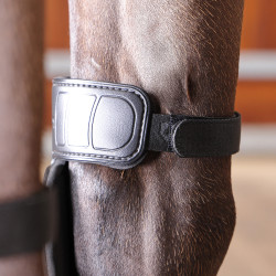 Shires ARMA kniebeschermers voor paarden – equitatie