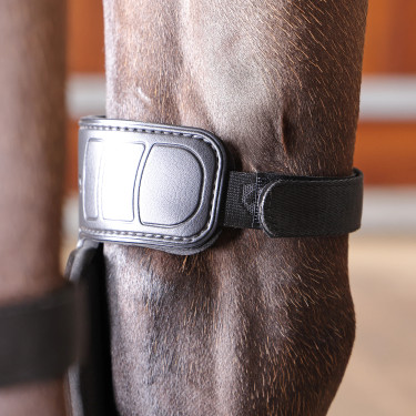 Shires ARMA kniebeschermers voor paarden – equitatie