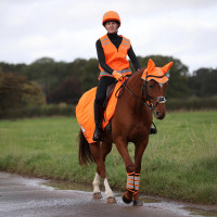 Shires Equi-Flector® mesh achterdeken Feloranje