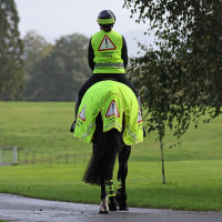 Shires Equi-Flector® mesh achterdeken Felgeel