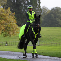 Reflecterende mesh achterdeken voor paardrijden | Shires Reflecterende mesh achterdeken voor paardrijden | Shires
