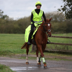 Reflecterende rijcap-hoes Shires Equi-Flector voor veiligheid