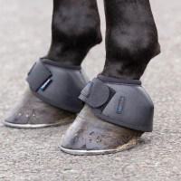 Shires Arma Nx-Max+ bells Zwart
