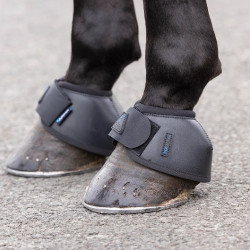 Springschoenen paard Shires ARMA NX‑MAX+ | Equi-Clic Springschoenen paard Shires ARMA NX‑MAX+ | Equi-Clic