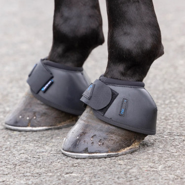 Shires Arma Nx-Max+ bells Zwart