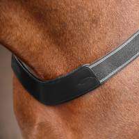 Elastische schoftband Shires Velociti Rapida Zwart