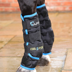 Koeltherapie strijklappen paard | Shires ARMA – Equi-Clic Koeltherapie strijklappen paard | Shires ARMA – Equi-Clic