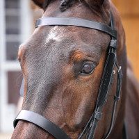 Lederen oogkleppen Shires Velociti Gara Zwart