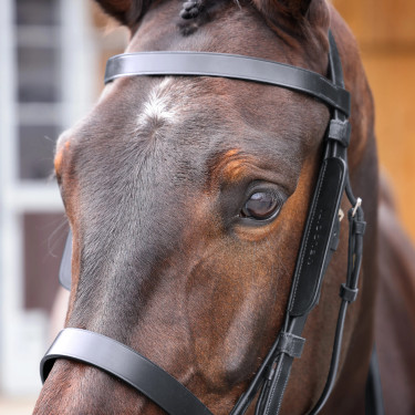 Paarden oogkleppen van leer Shires Velociti GARA – paardensport