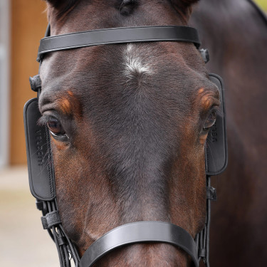 Paarden oogkleppen van leer Shires Velociti GARA – paardensport