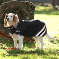 Waterdichte hondenjas Shires Digby & Fox Zwart