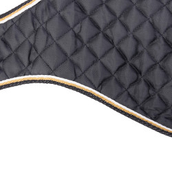 Waterdichte hondenjas voor buiten – Shires Digby & Fox