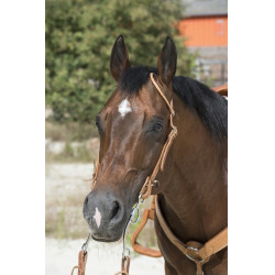 Bridon Westride door Franck Perret 1 oor