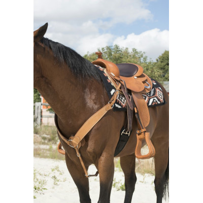 Collier de chasse Westride by Franck Perret Billy Noisette