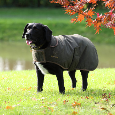 Hondenjas wax Shires Digby & Fox – ruitersport