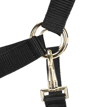 Verstelbaar halster voor paarden Shires Arma | Equi-Clic
