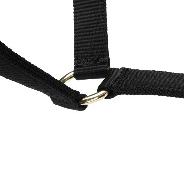 Verstelbaar halster voor paarden Shires Arma | Equi-Clic