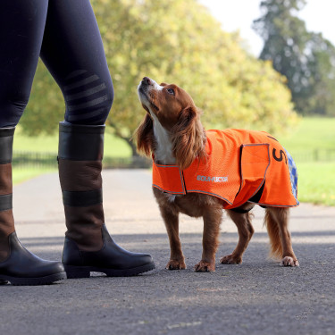 Reflecterende hondenjas voor zichtbaarheid – paardensport