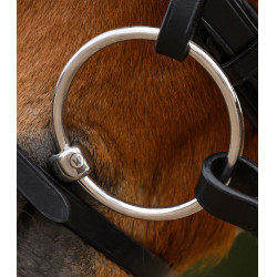 Ponytrens enkelgebroken bit