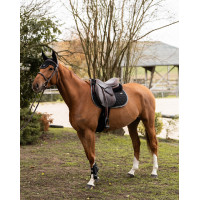 Kort oornetje Atlas GEM Equitation Zwart