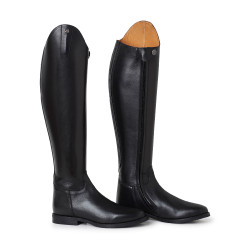 Serenade RX Mountain Horse Serenade RX Mountain Horse