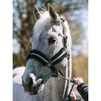 Mountain Horse Halster
