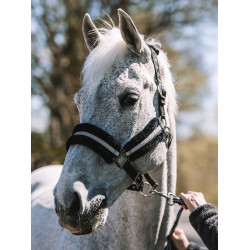 Mountain Horse Halster