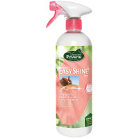 Easy Shine glansspray Ravene