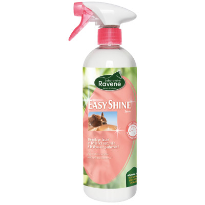 Easy Shine glansspray Ravene