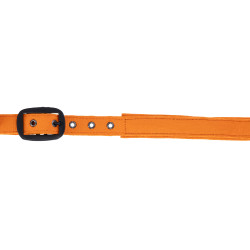 Covalliero Halster AW26 Oranje