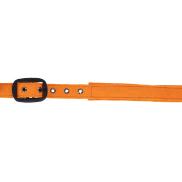 Covalliero Halster AW26 Oranje