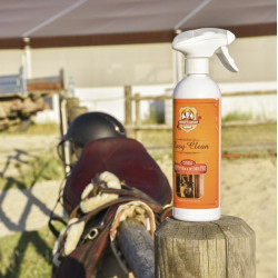 Easy Clean Charlee's Leather Ravene