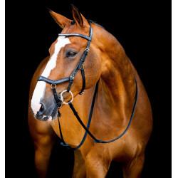 Wedstrijdhoofdstel voor paardrijden Micklem® 2