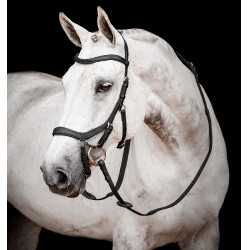 Anatomisch wedstrijdhoofdstel voor paarden