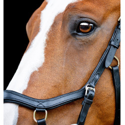Anatomisch wedstrijdhoofdstel voor paarden