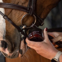 Bitboter voor paarden – Amandel 125 ml | Equi-Clic