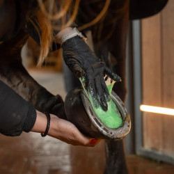 Epsomzout poultice 600 g voor paarden | Equi-Clic