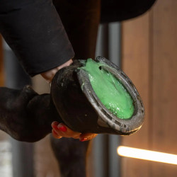 Epsomzout poultice 600 g voor paarden | Equi-Clic