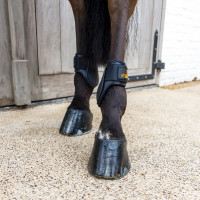 Kogelbeschermer jong paard L bruin | Ruitersport