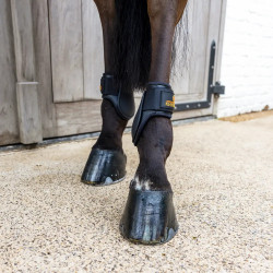Kogelbeschermer jong paard L bruin | Ruitersport