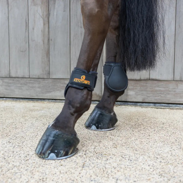 Kogelbeschermer jong paard L bruin | Ruitersport