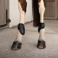 Kogelbeschermers voor jonge paarden bruin L | Equi-Clic