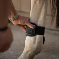 Kogelbeschermers voor jonge paarden bruin L | Equi-Clic