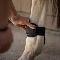 Kogelbeschermers voor jonge paarden bruin L | Equi-Clic