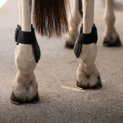 Kogelbeschermers voor jonge paarden bruin L | Equi-Clic