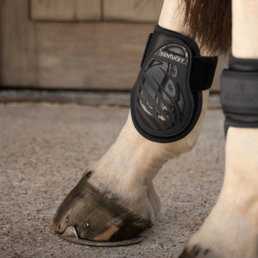 Kogelbeschermers voor jonge paarden bruin L | Equi-Clic