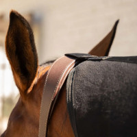 Fleece zweetdeken met hals voor paard 165 cm – zwart Fleece zweetdeken met hals voor paard 165 cm – zwart