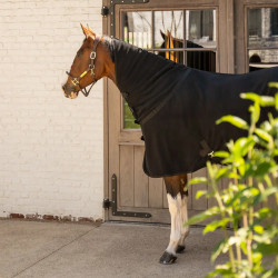 Fleece zweetdeken met hals voor paard 165 cm – zwart